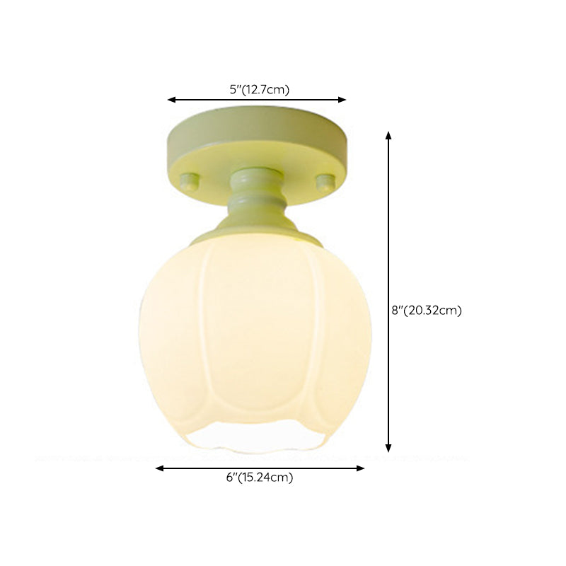 Nordic 1 Light Ceiling Light Glass Flush Mount Ceiling Light Fixture for Bedroom