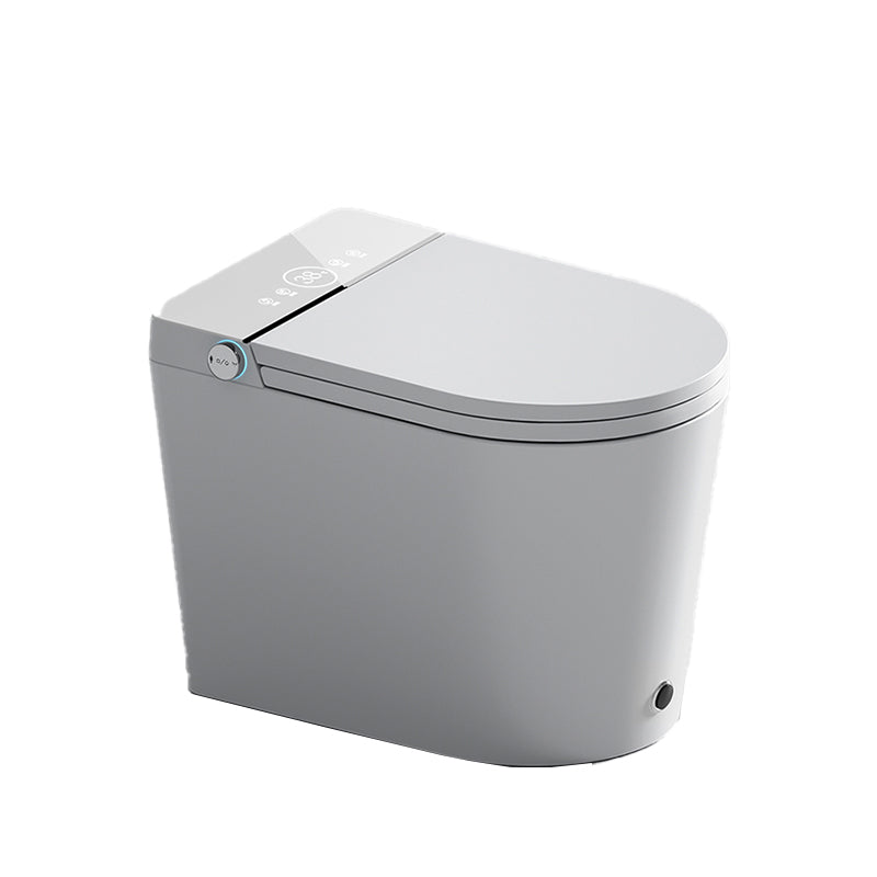 Contemporary Floor Mounted Toilet Heated Seat Included Urine Toilet for Bathroom
