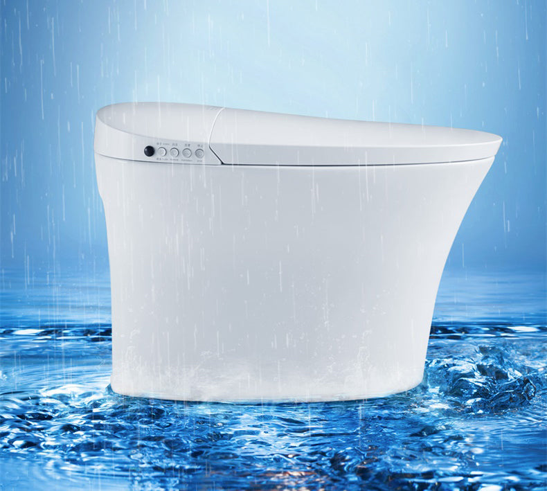 Elongated Floor Standing Bidet Contemporary Floor Mount Bidet