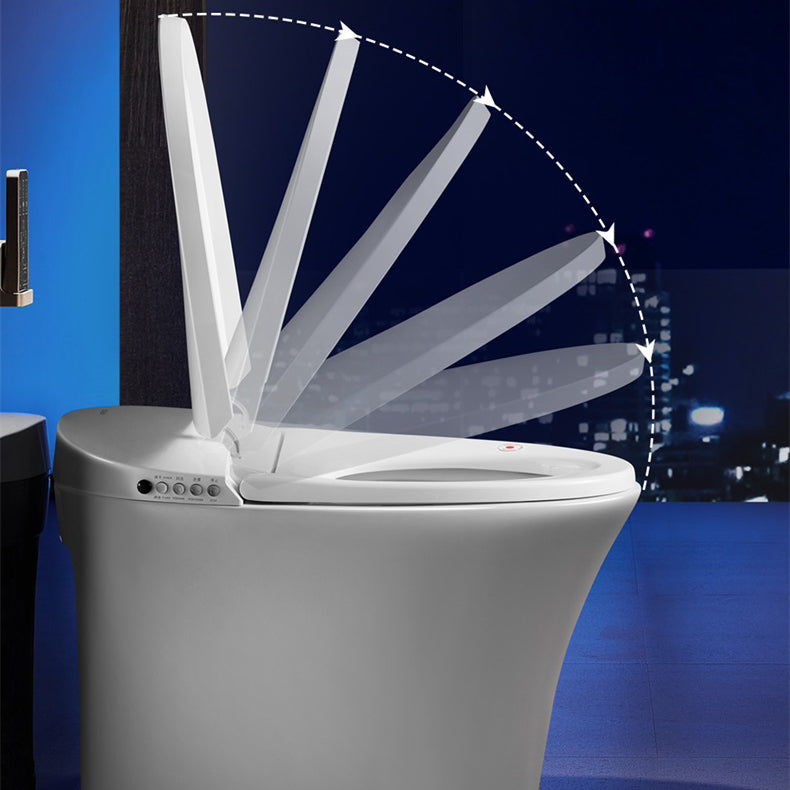 Elongated Floor Standing Bidet Contemporary Floor Mount Bidet