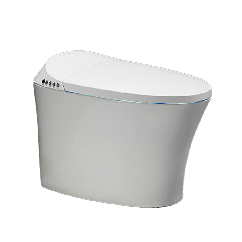 Elongated Floor Standing Bidet Contemporary Floor Mount Bidet