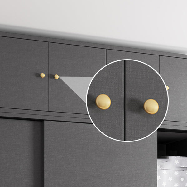 Modern Artificial Wood Wardrobe Armoire Freestanding Wardrobe in Black