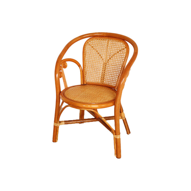 Traditional Kitchen Dining Chairs Cane Back Arm Chairs for Dining Room