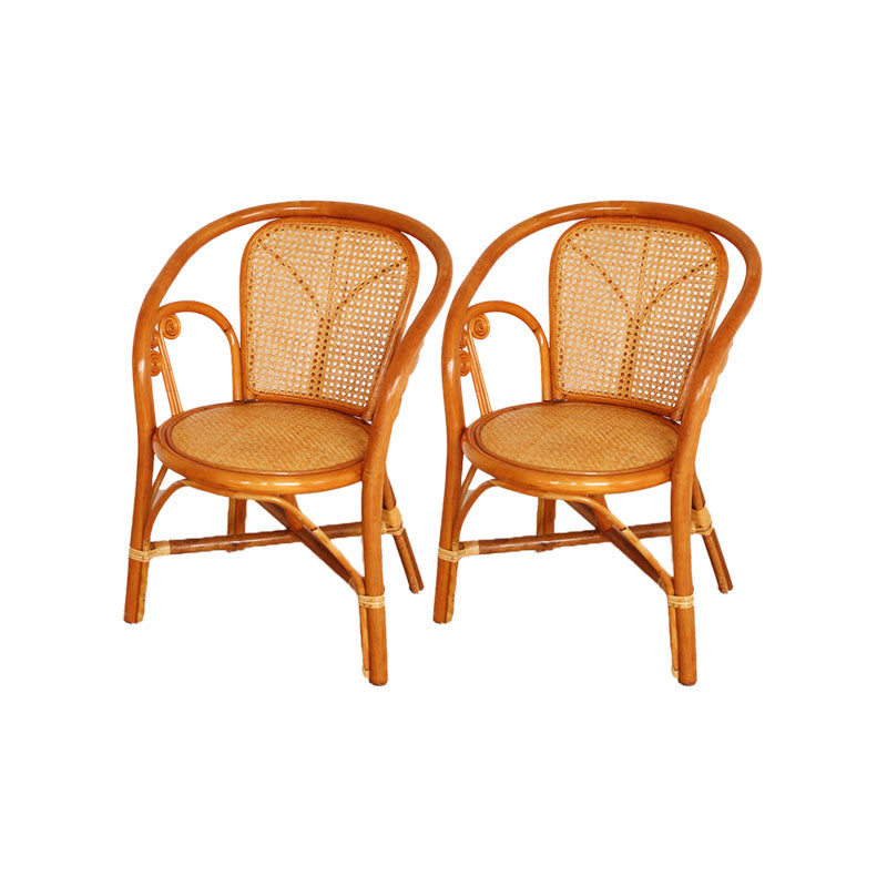 Traditional Kitchen Dining Chairs Cane Back Arm Chairs for Dining Room