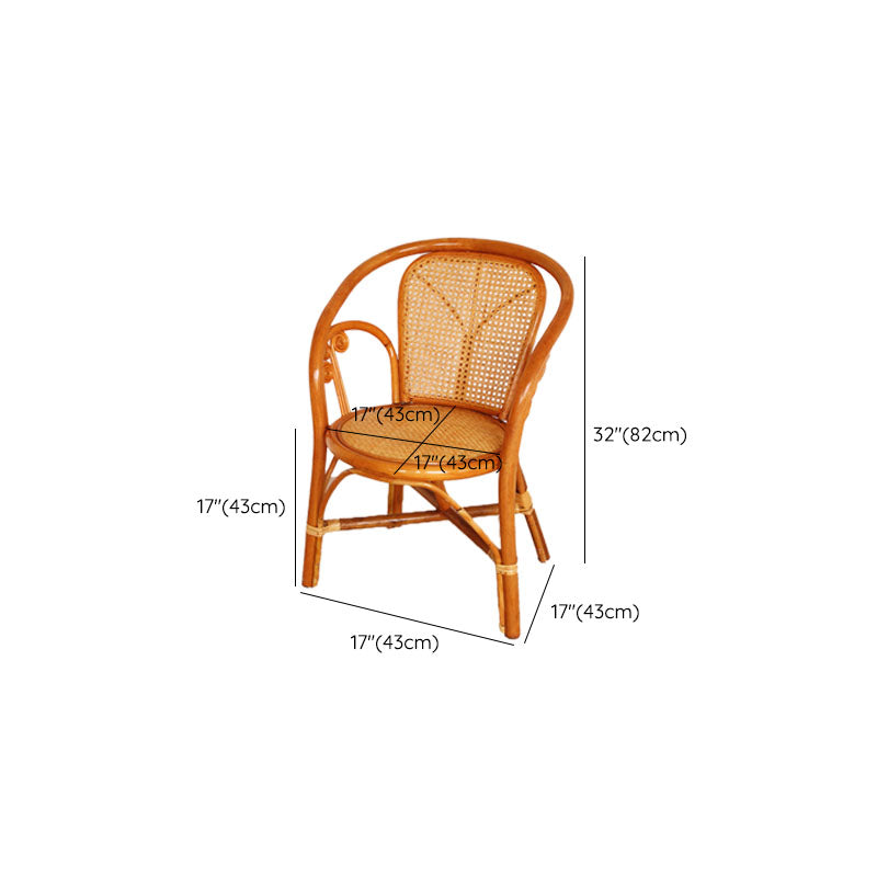 Traditional Kitchen Dining Chairs Cane Back Arm Chairs for Dining Room