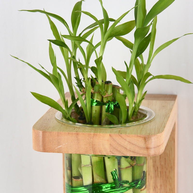 1-Light Wall Lamp Modern Wooden Shade Wall Lighting Fixtures without Plants