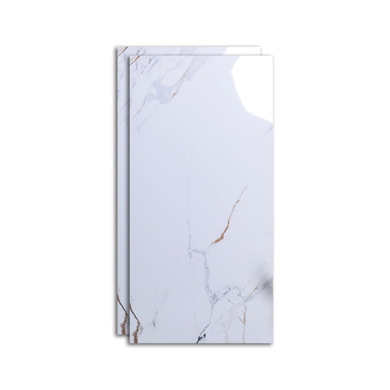 Indoor Wall & Floor Tile Porcelain Floor and Wall Tile with Rectangular Shape