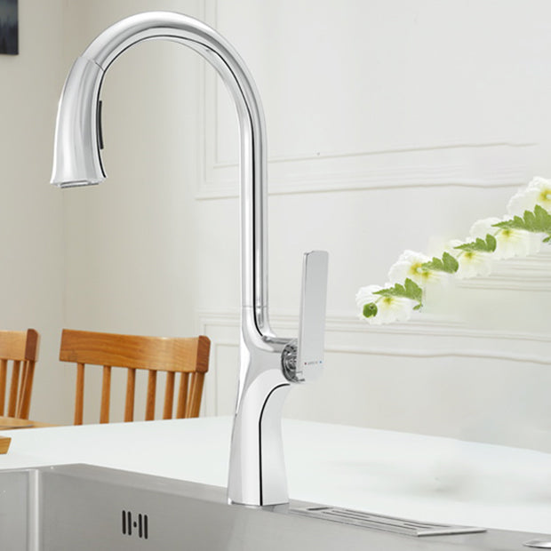Contemporary Kitchen Faucet Gooseneck Swivel Spout with Pull Out Sprayer