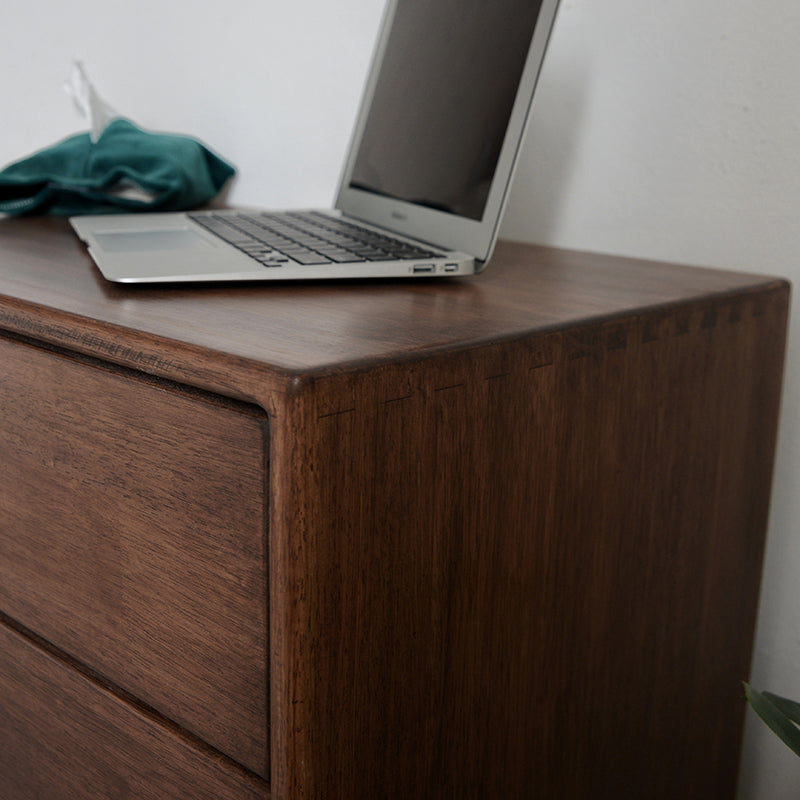 Traditional Horizontal Double Dresser Wood Storage Bachelor Chest for Bedroom
