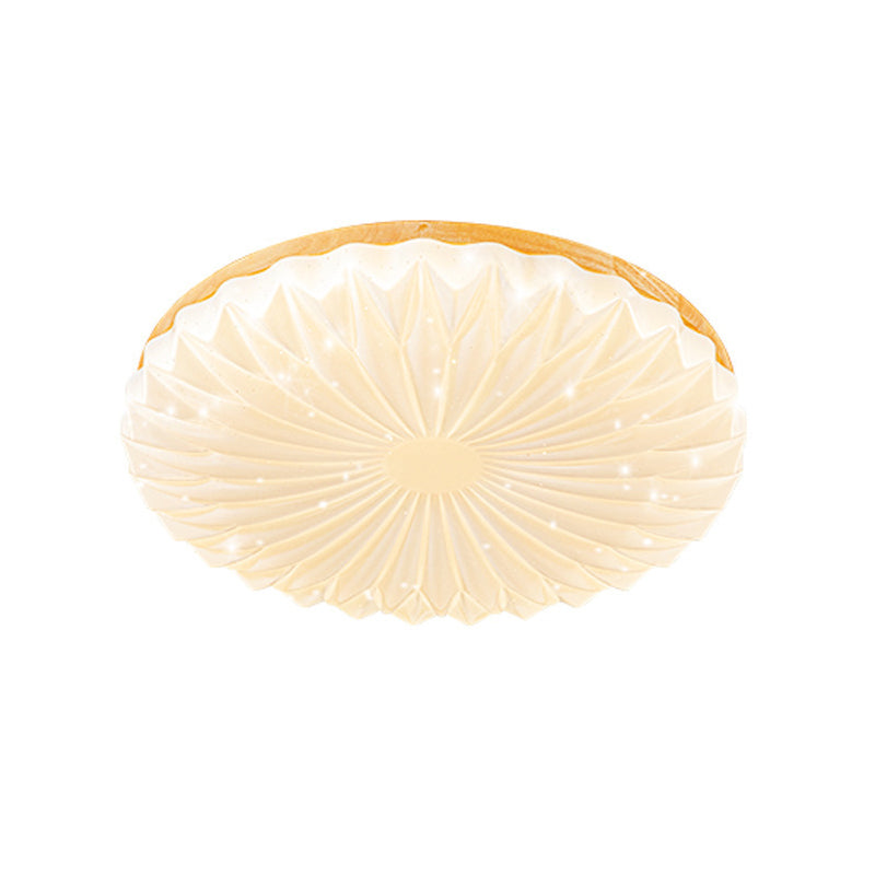 Modernism Beige Single Flush Mount Lighting Round LED Ceiling Light with Acrylic