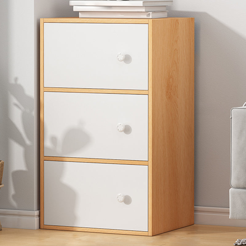 Modern Accent Cabinet Standard No Distressing Wood Cabinet with Doors