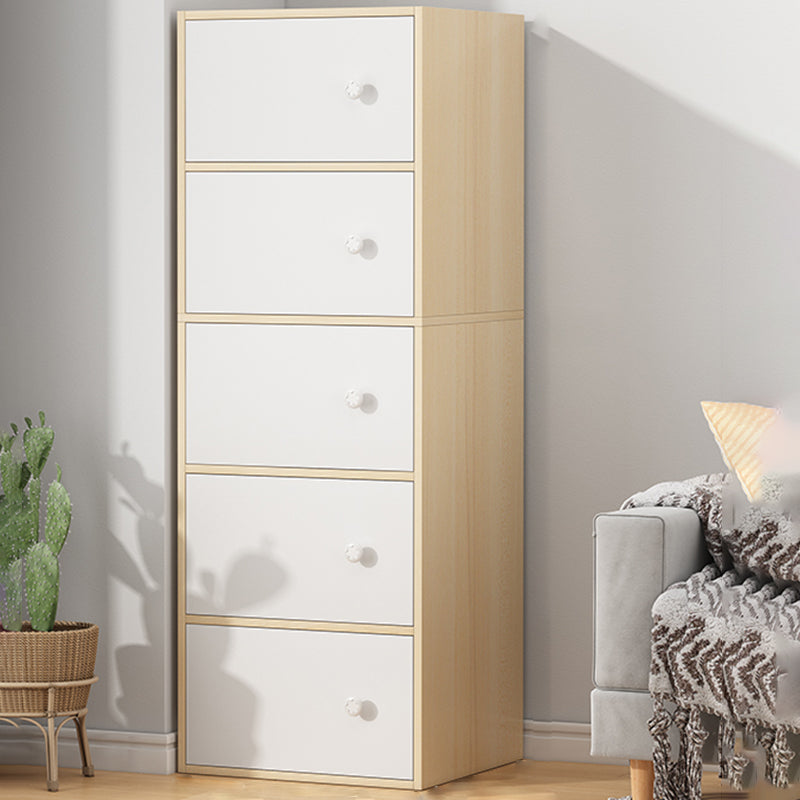 Modern Accent Cabinet Standard No Distressing Wood Cabinet with Doors