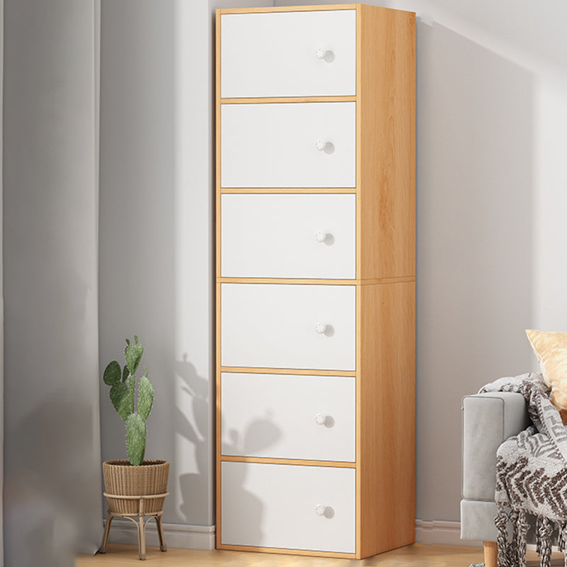 Modern Accent Cabinet Standard No Distressing Wood Cabinet with Doors