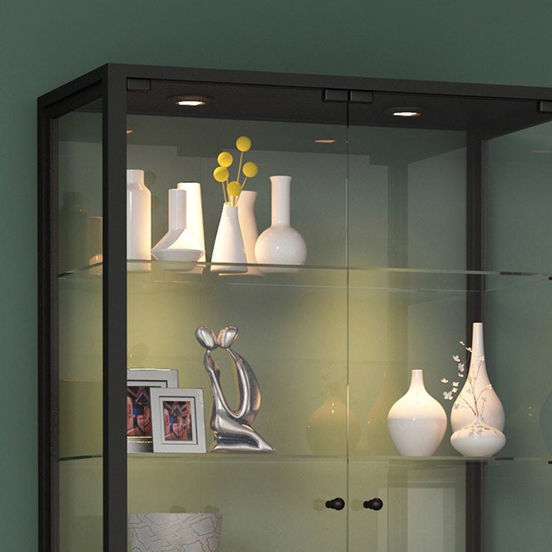 Modern Curio Cabinet Metal Storage Cabinet with Lighting for Dining Room