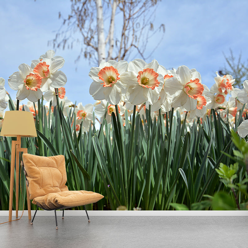 Flower Photography Mural Wallpaper Environment Friendly Indoor Wall Mural