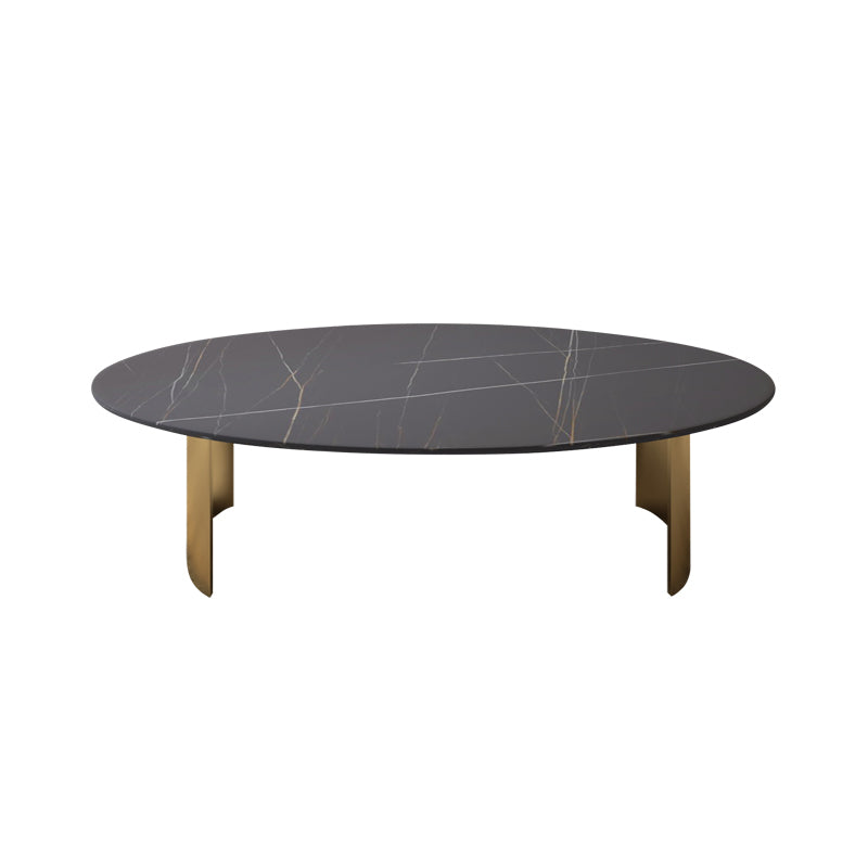 Glam Oval Slate Top Coffee Table Steel 2 Legs Cocktail Table