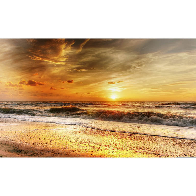 Peel and Stick Wall Mural Tropical Sea Pattern Photography Living Room Decorative