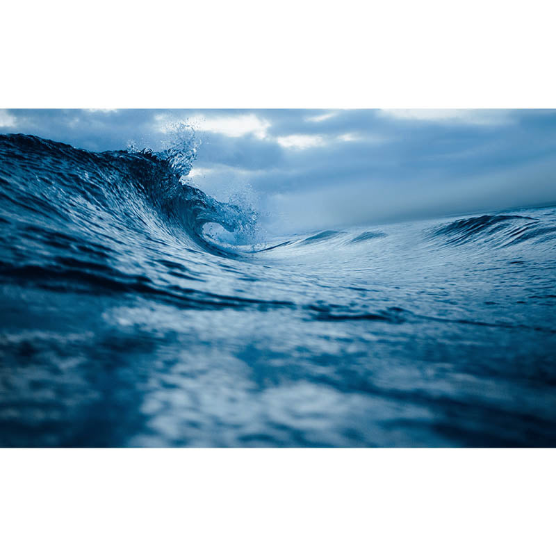 Non-Pasted Tropical Living Room Photography Wall Mural Sea Pattern