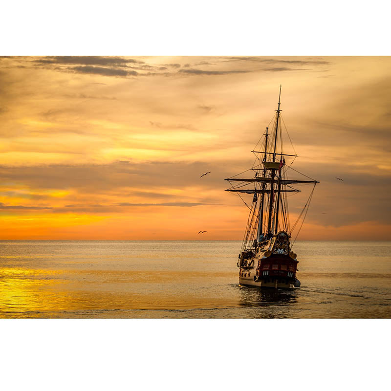 Sea Pattern Photography Wallpaper Living Room Tropical Stain Resistant