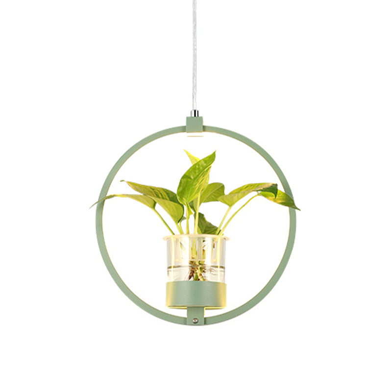 1 Bulb Circle Hanging Pendant Vintage Black/Grey/White Metal LED Ceiling Hang Fixture for Restaurant