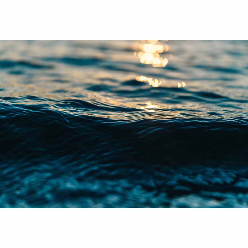 Non-Pasted Wall Mural Tropical Photography Sea Pattern Mildew Resistant Indoor