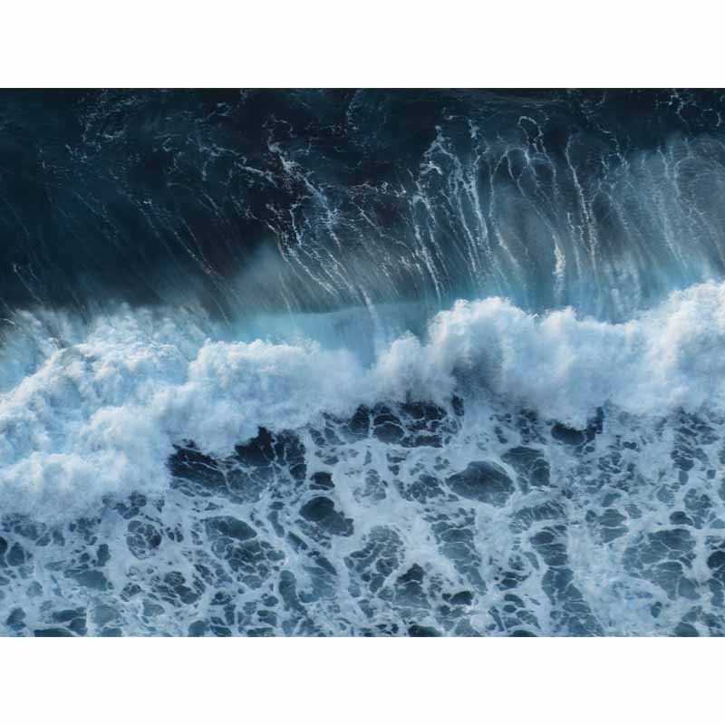 Sea Print Tropical Peel and Stick Wall Mural Photography Stain Resistant