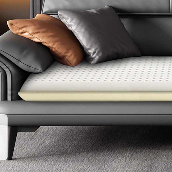 Scandinavian Sofa Genuine Leather Dark Gray Cushions Pillow Top Arm Seating