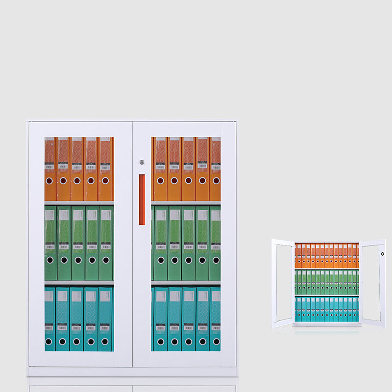 Metal Storage File Cabinet Contemporary Shelves Locking File Cabinet