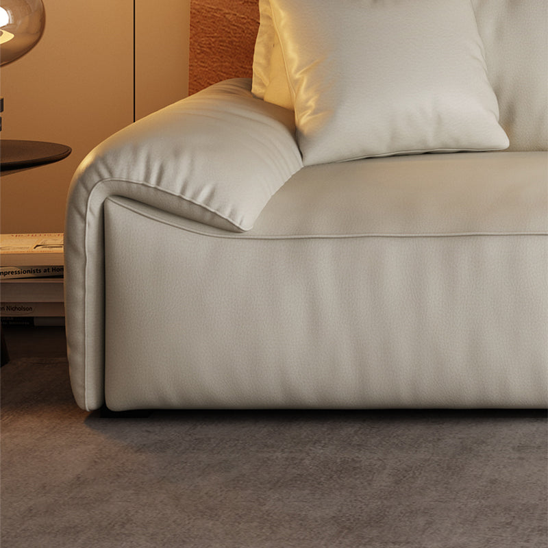 Contemporary Solid Color Pillow Top Arm Sofa For Living Room