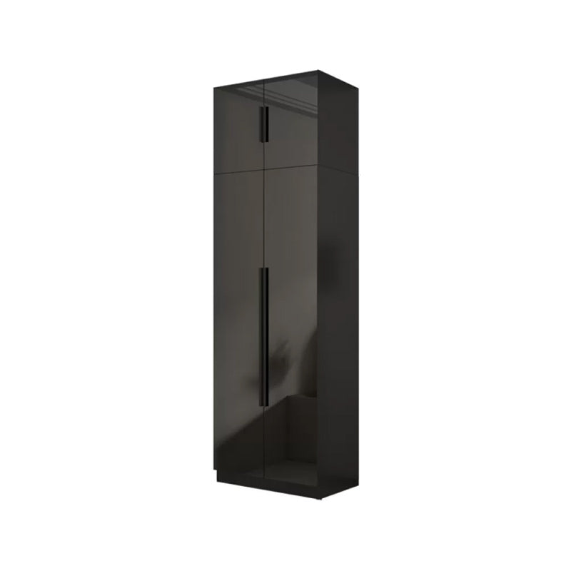 Modern Glass Doors Wardrobe Cabinet Black Bedroom Storage Cabinet
