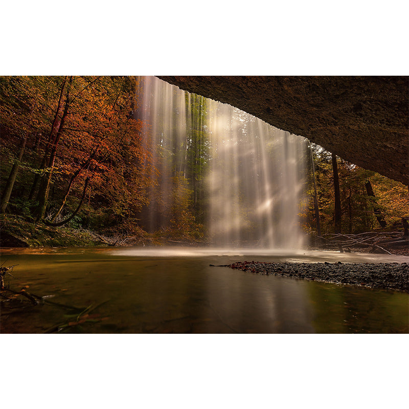 Fall Photography Pattern Mildew Wall Mural Horizontalt for Living Room