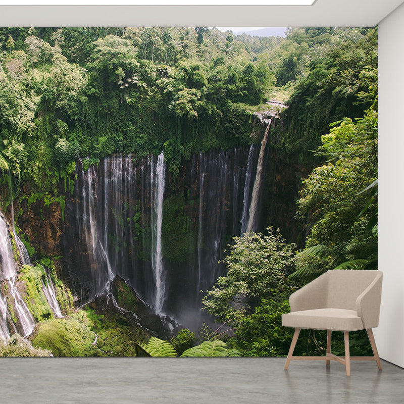 Photography Pattern Mildew Wall Mural Horizontalt for Living Room