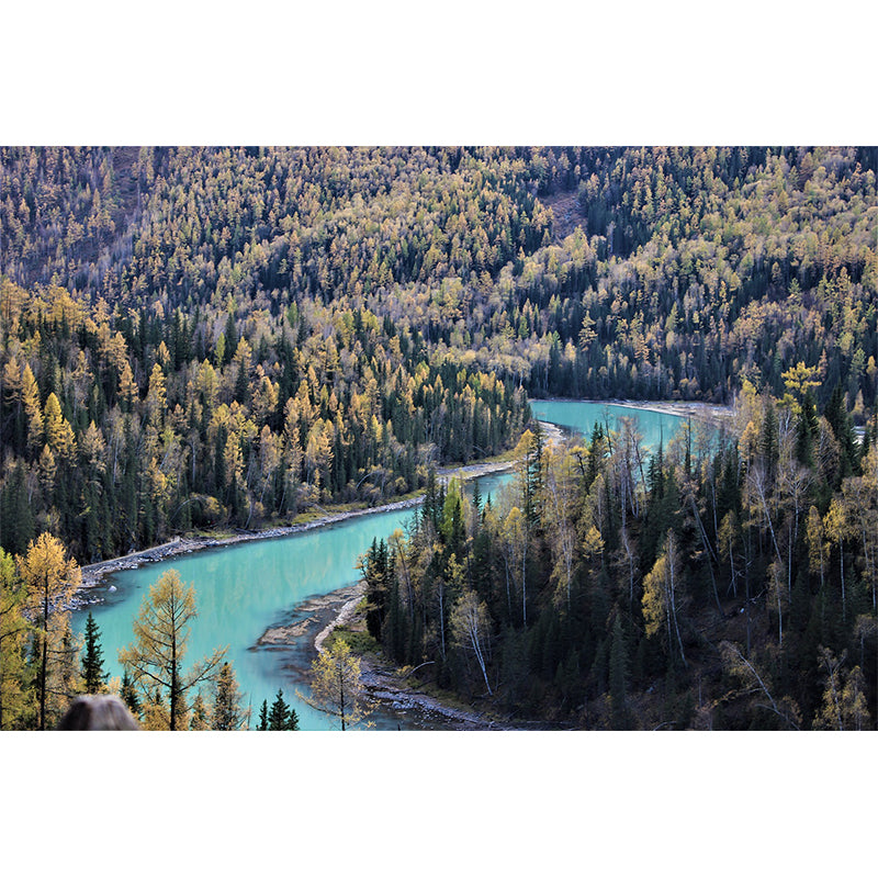Landscapes Pattern Mildew Wall Mural Horizontalt Photography for Living Room