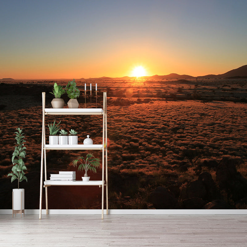 Sunset Photography Pattern Mildew Wall Mural Horizontalt for Living Room