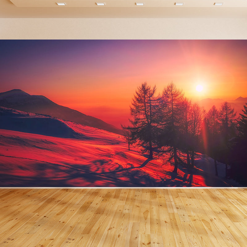Evening Glow Photography Pattern Mildew Wall Mural Horizontalt for Living Room