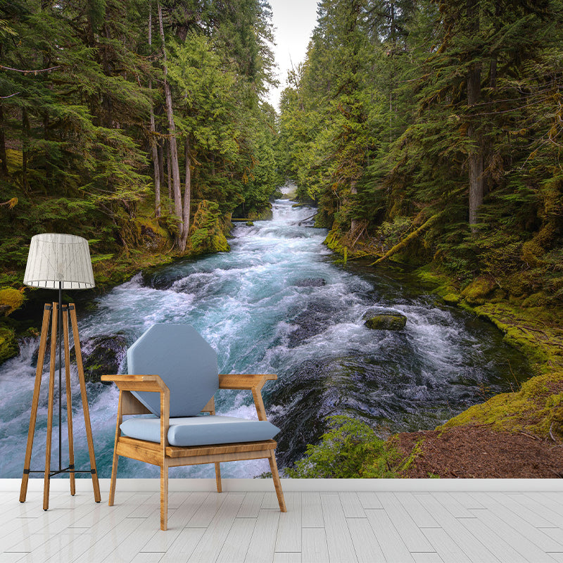 Photography Pattern Mildew Wall Mural Landscapes Horizontalt for Living Room
