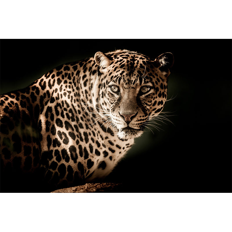 Animal Photography Pattern Mildew Wall Mural Horizontalt for Living Room