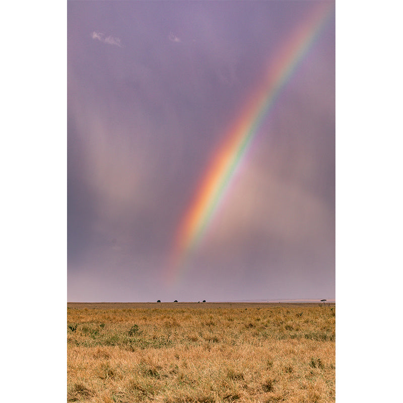Horizontalt Photography Mildew Wall Mural Landscapes for Living Room