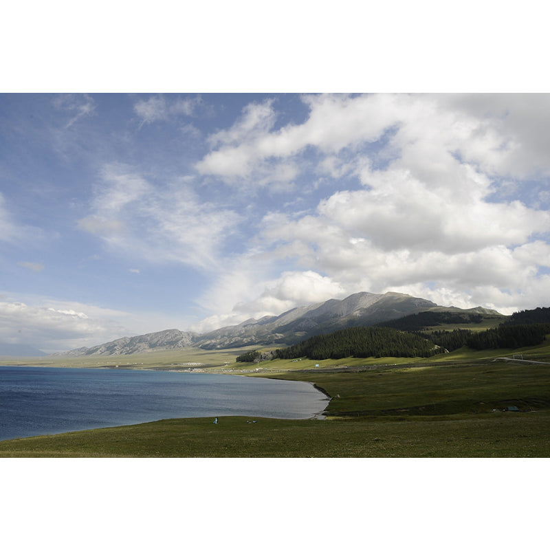 Photography Pattern Mildew Wall Mural Lake Horizontalt for Living Room