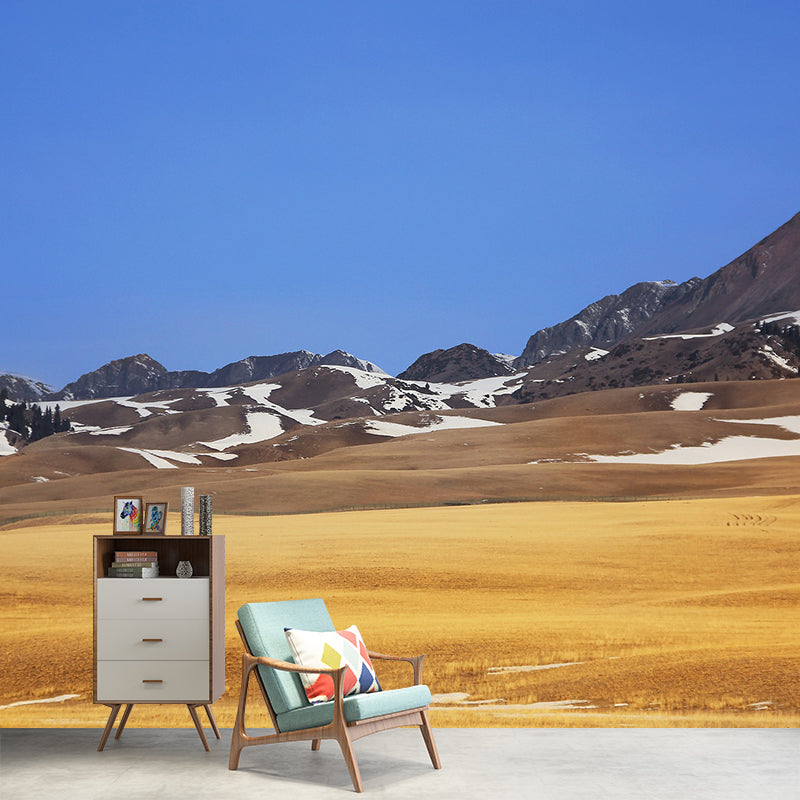 Photography Pattern Mildew Wall Mural Landscapes for Living Room