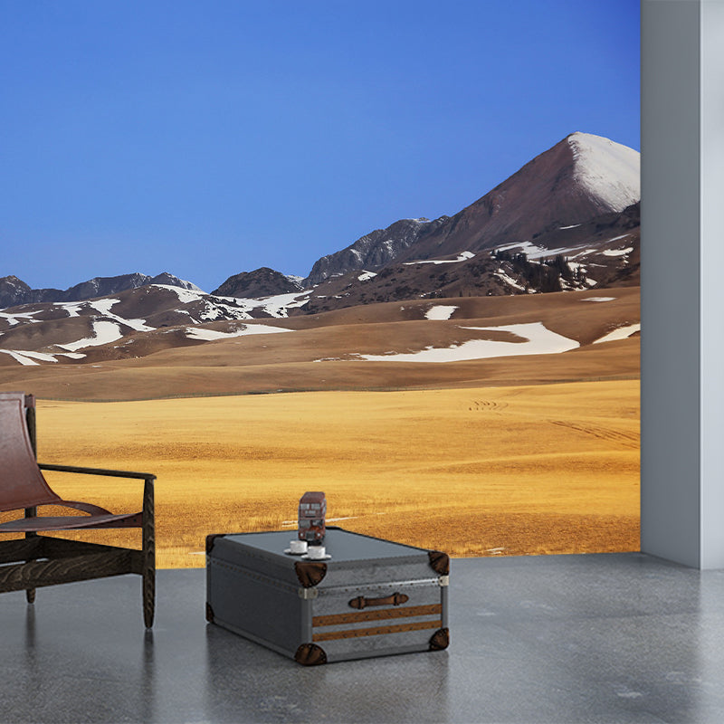 Photography Pattern Mildew Wall Mural Landscapes for Living Room