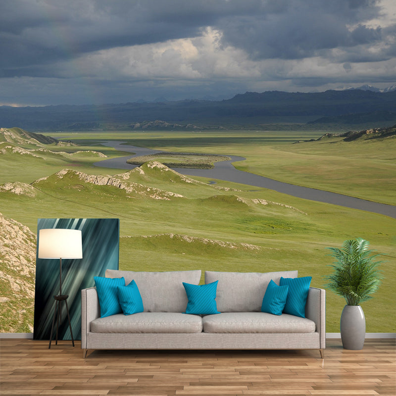 Photography Pattern Mildew Wall Mural Grassland for Living Room