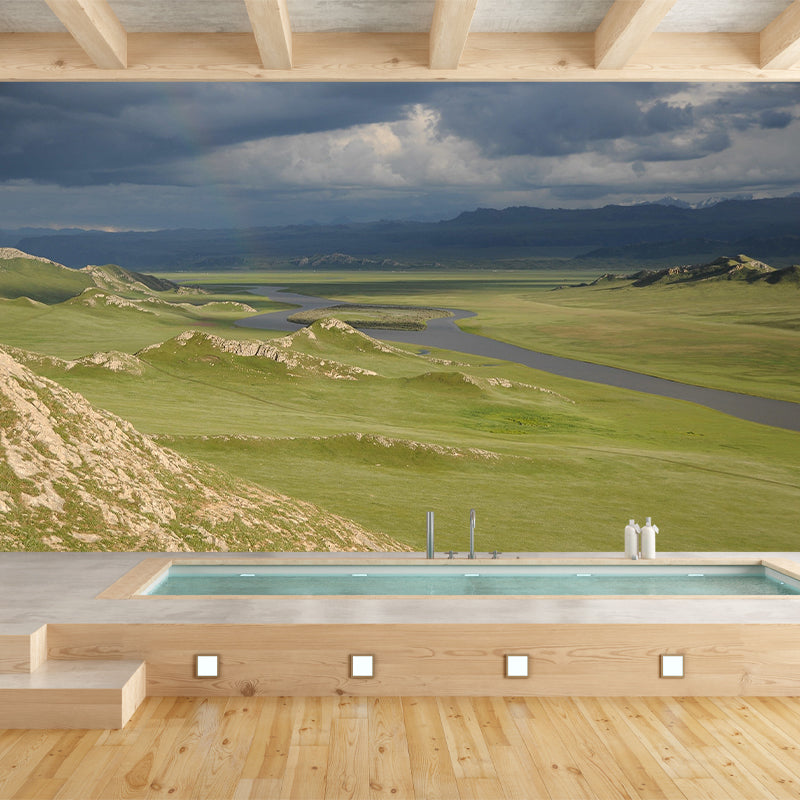 Photography Pattern Mildew Wall Mural Grassland for Living Room
