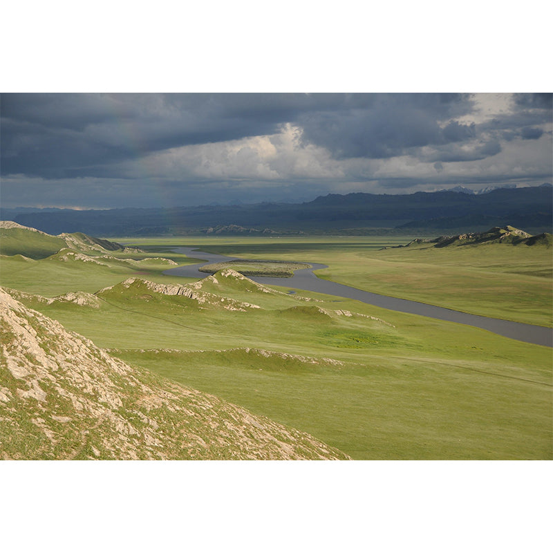 Photography Pattern Mildew Wall Mural Grassland for Living Room