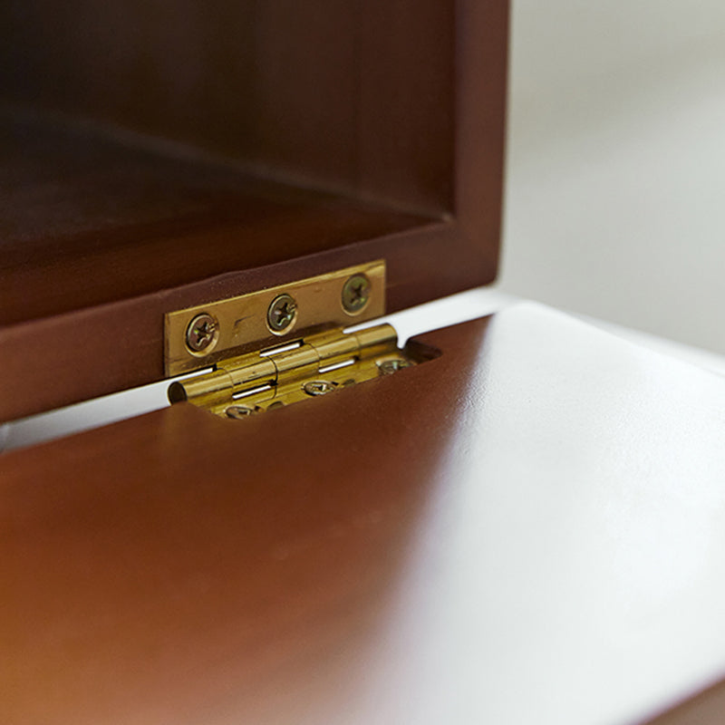 Contemporary Living Room Display Cabinet Poplar Wood with Door