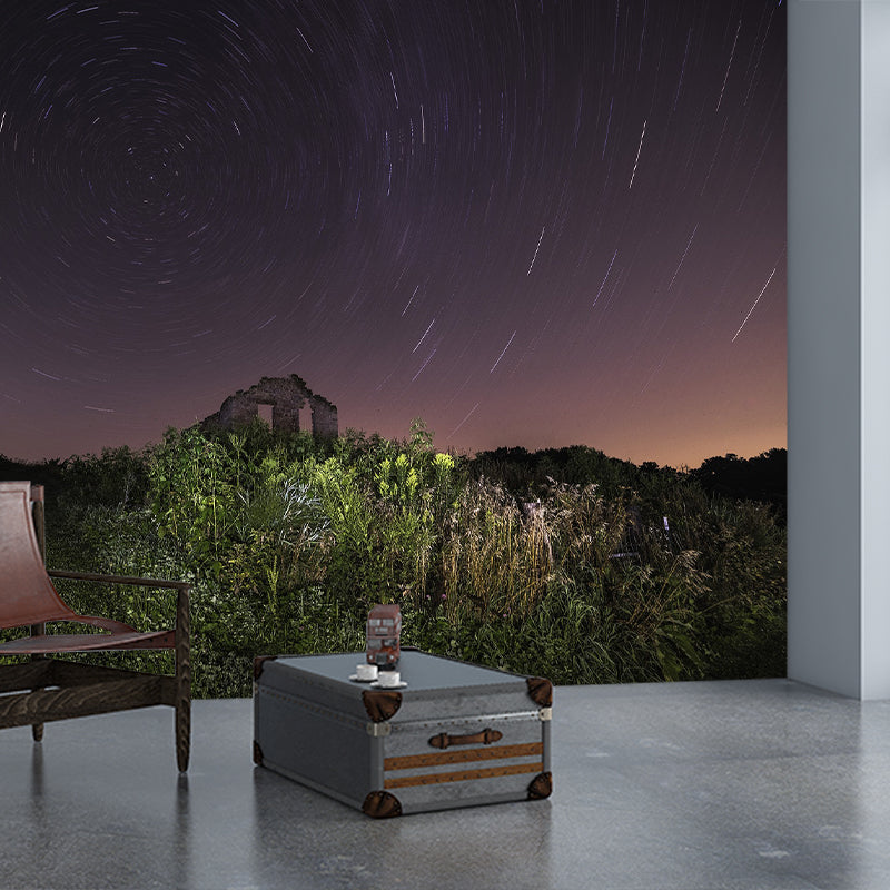 Photography Pattern Mildew Wall Mural Starry Sky for Living Room