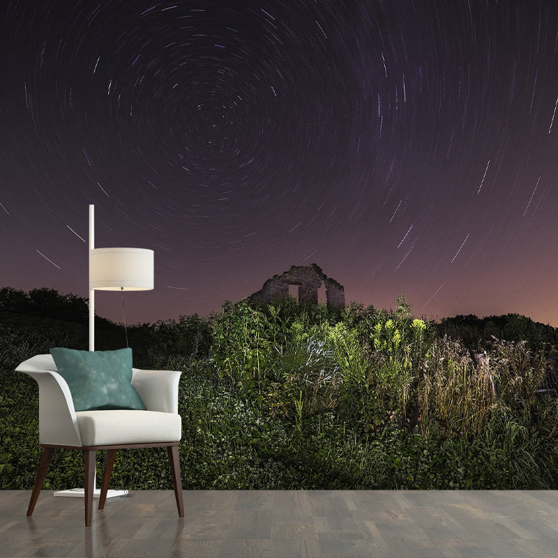 Photography Pattern Mildew Wall Mural Starry Sky for Living Room