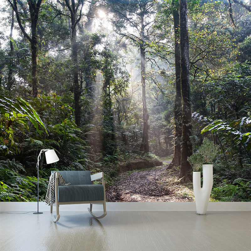 Tropical Photography Pattern Mildew Wall Mural Horizontalt for Living Room