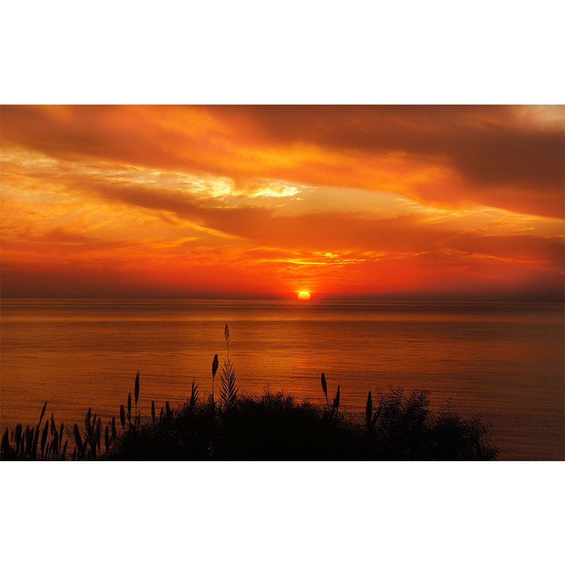 Photography Pattern Mildew Wall Mural Sunset Horizontalt for Living Room
