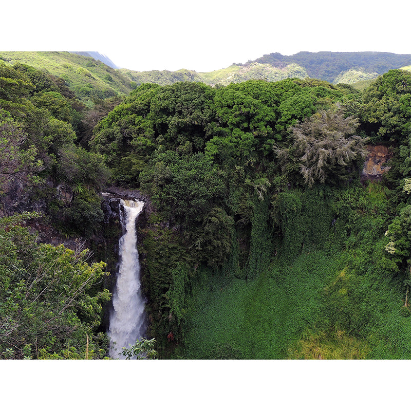 Fall Landscapes Photography Pattern Mildew Wall Mural Horizontalt for Living Room